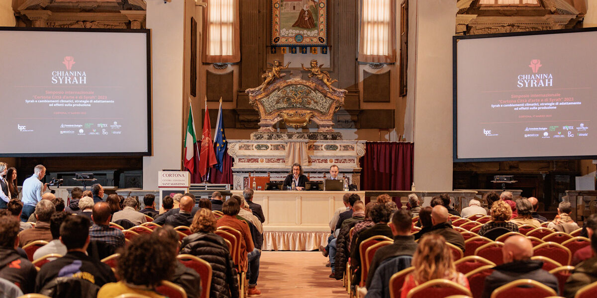 Chianina-e-Syrah Chianina-e-Syrah