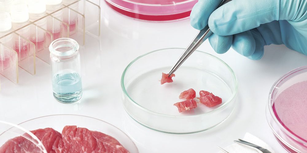 Carne-coltivata-Laboratorio-2_R Carne-coltivata-Laboratorio-2_R