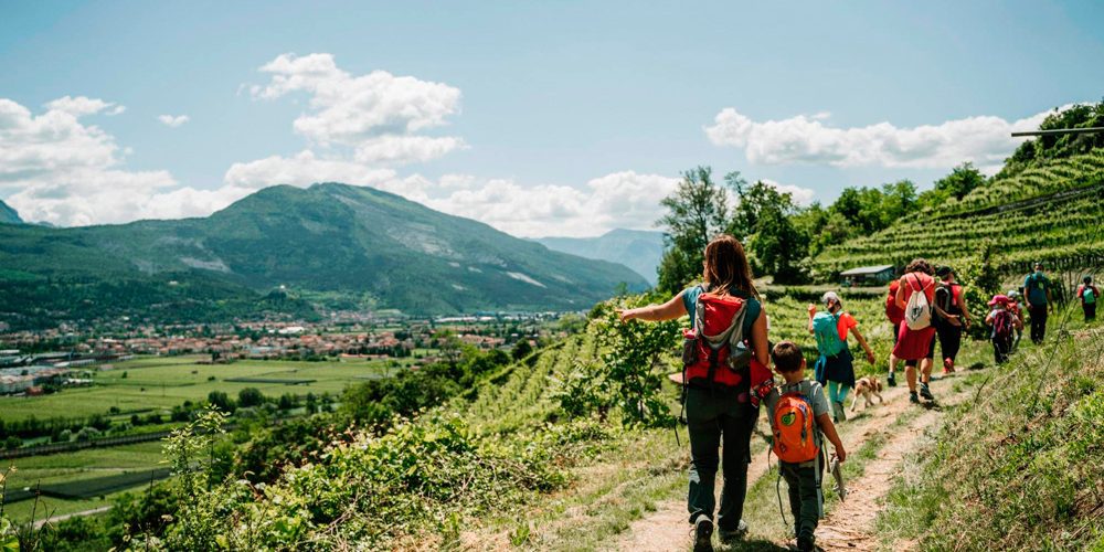 Gemme di Gusto Gemme di Gusto