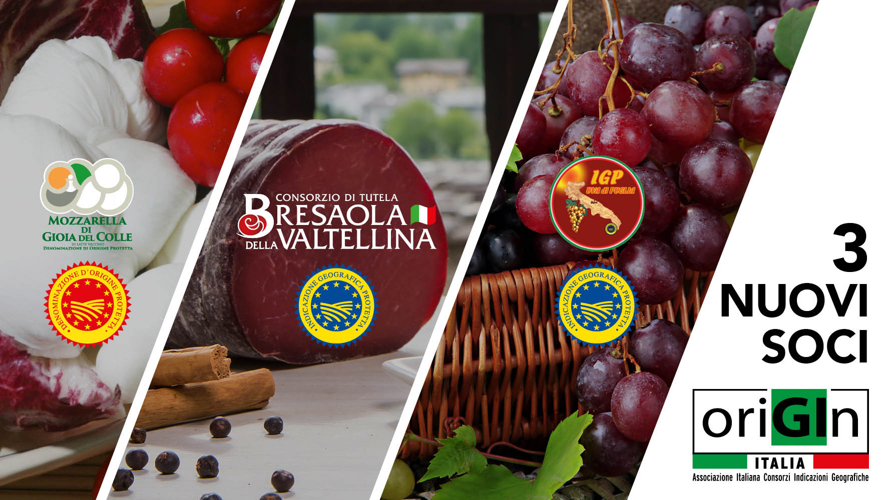 Origin-Italia Origin-Italia
