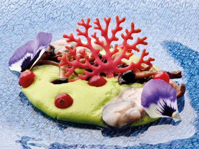 barbagianni-ostriche