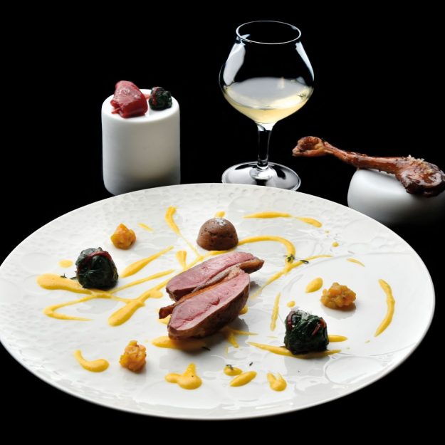 barbagianni piccione