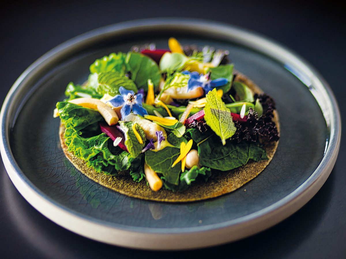 tacos con humus e verdure