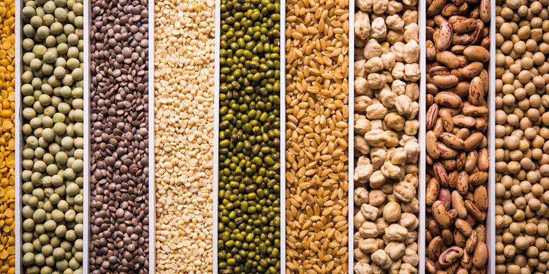 cereali e legumi cibi di protezione