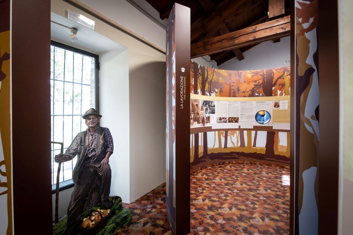 Museo-del-Fungo-Porcino-Sede-di-Borgotaro-Il-cercatore-di-funghi