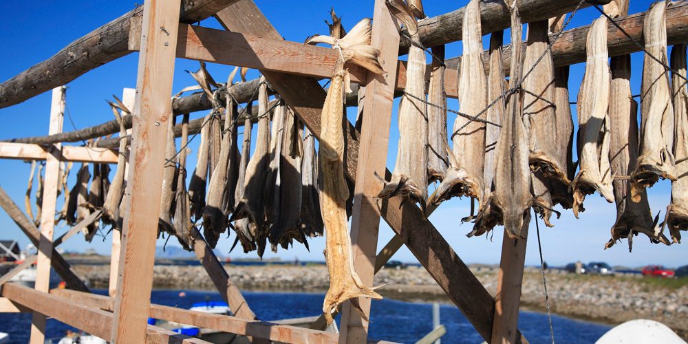 festa-del-baccala-2023 festa-del-baccala-2023