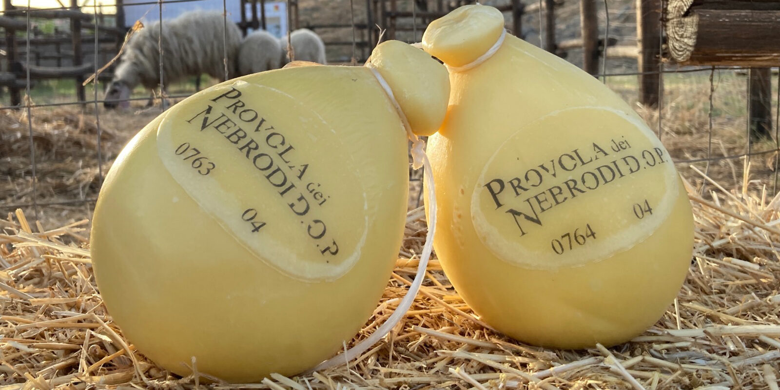 Provola dei Nebrodi e ciliegia dell’Etna Provola dei Nebrodi e ciliegia dell'Etna