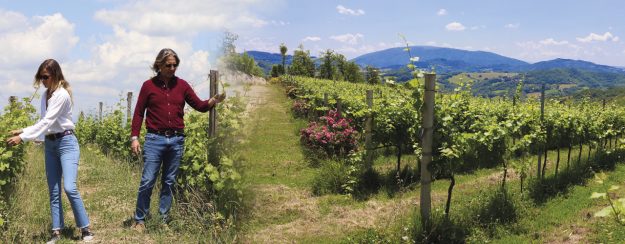 LaMadia 363 IMG SlideRevolution-formilli01 le corgne