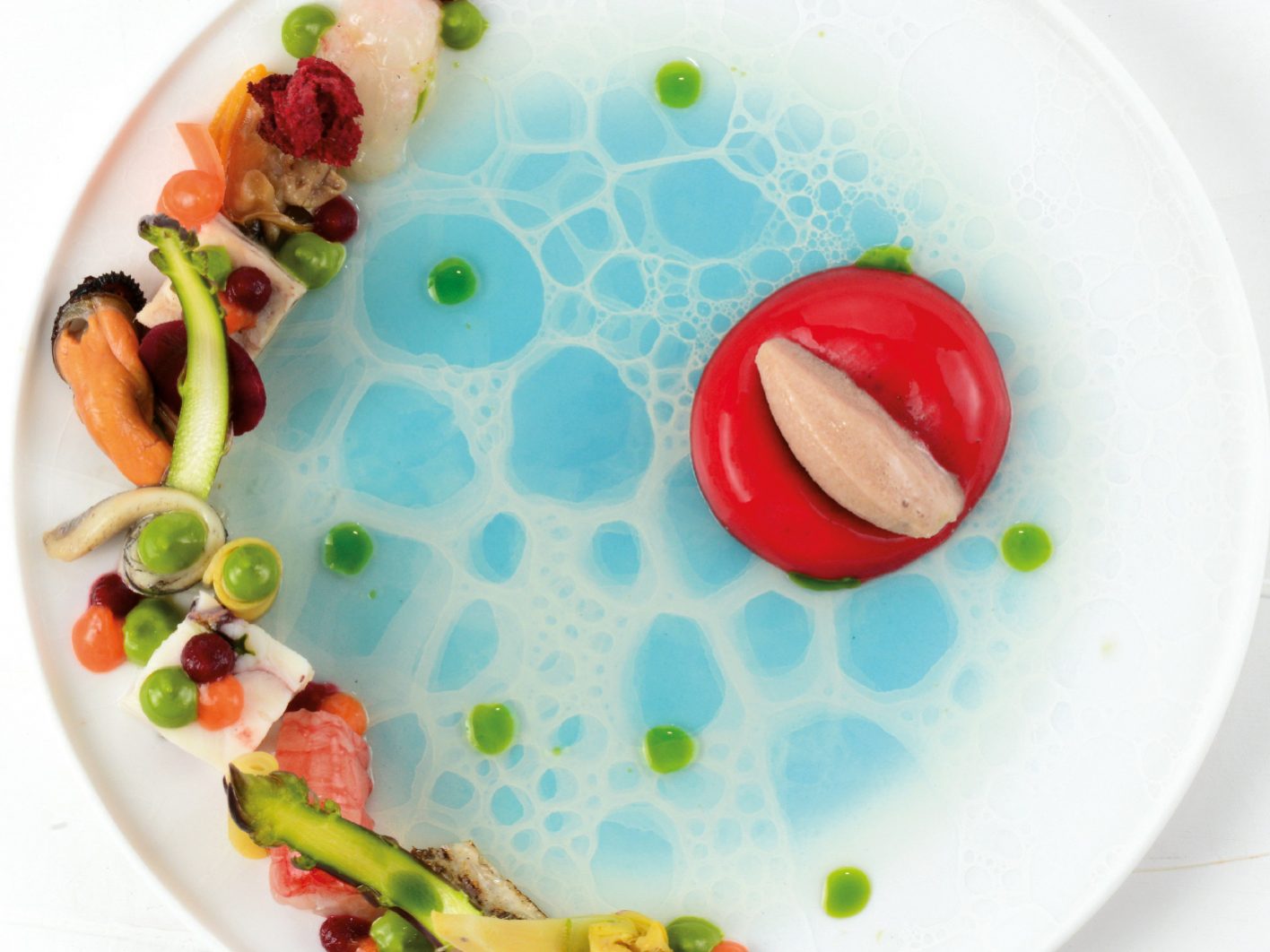 aspurcacciuna-cappon-magro-©Paolo-Picciotto-(1)