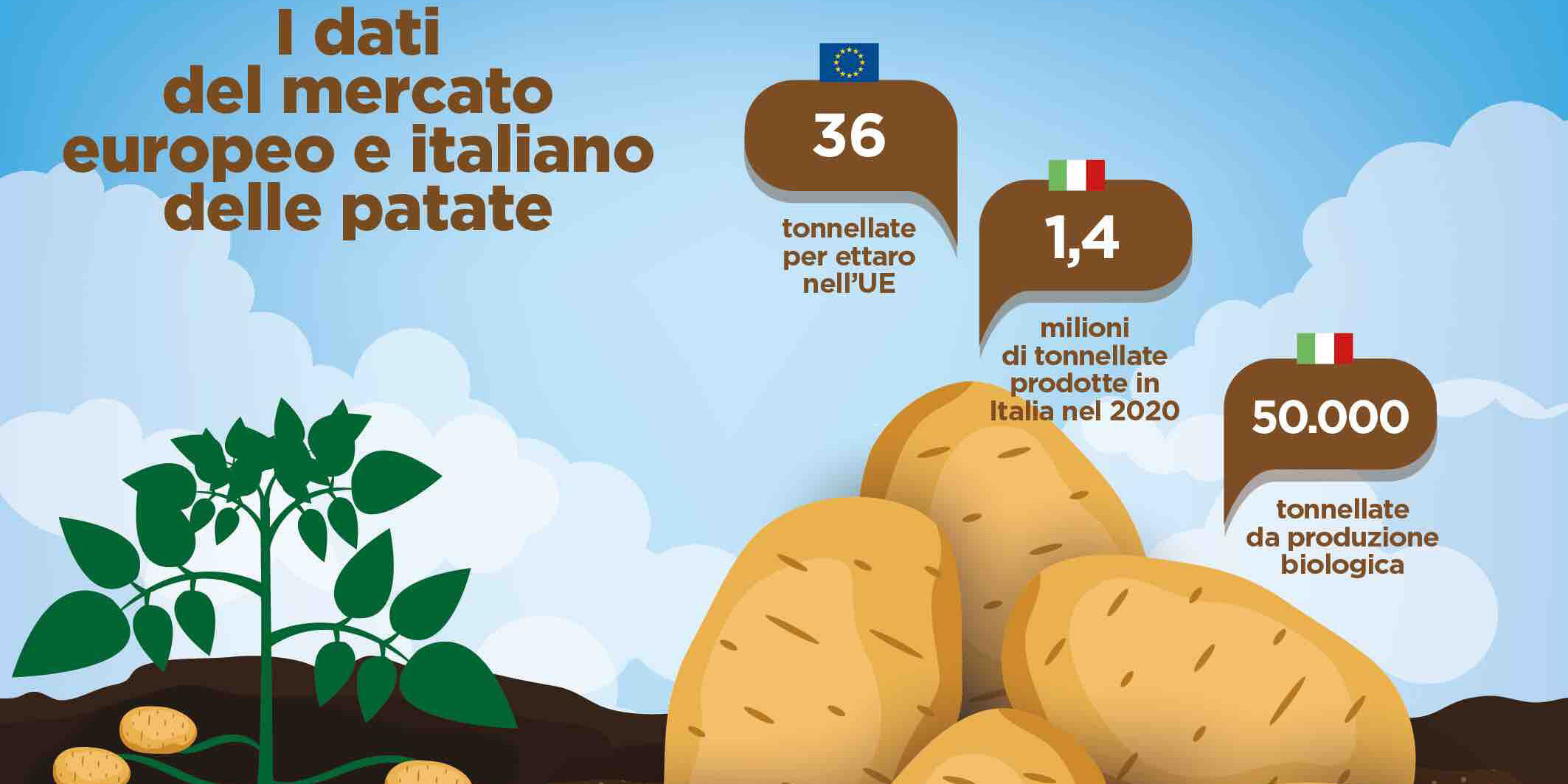 patate-rispettose-dell ambiente patate-rispettose-dell ambiente