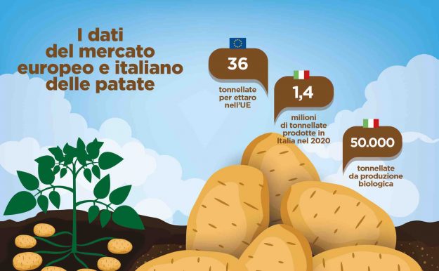 patate-rispettose-dell ambiente