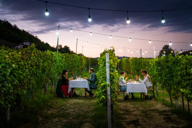 Food For Future Festival