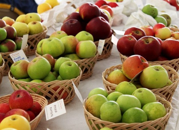 La Festa della Mela La Festa della Mela