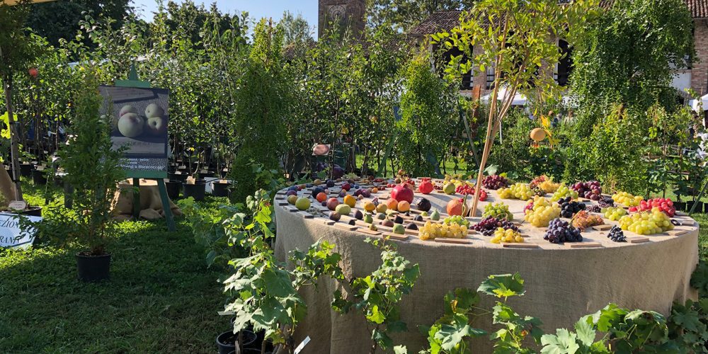 i frutti del castello