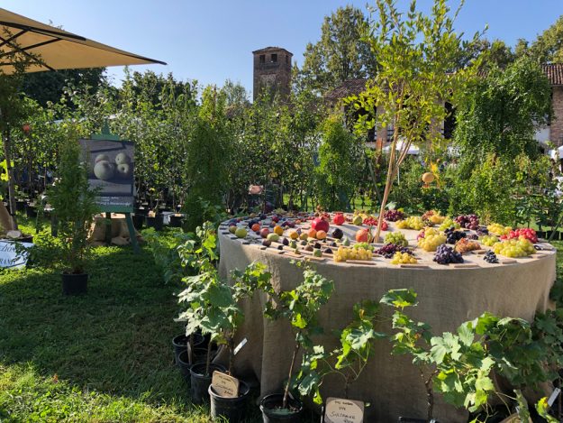 i frutti del castello