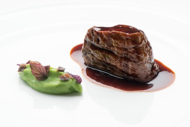 insieme-jre-per-san-patrignano