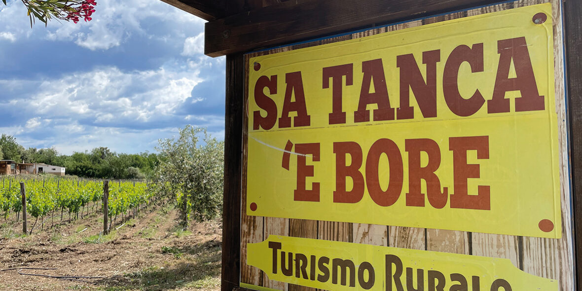 Rational_satancaebore