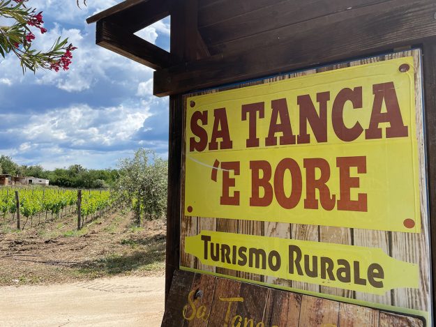 Rational_satancaebore