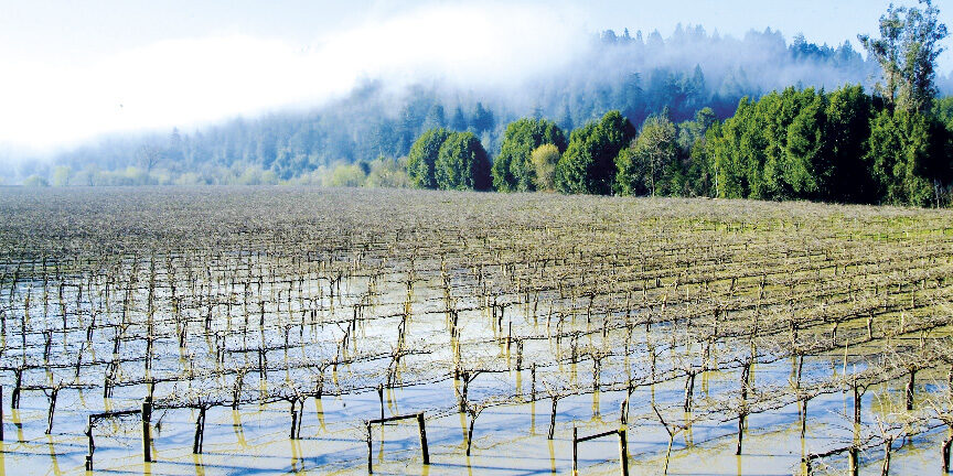 cambiamento climatico