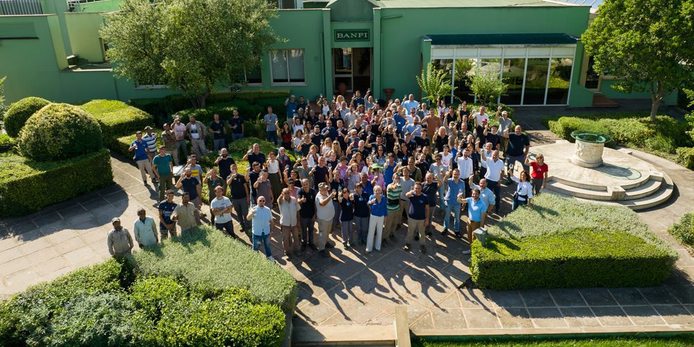 banfi banfi e i suoi 40 anni