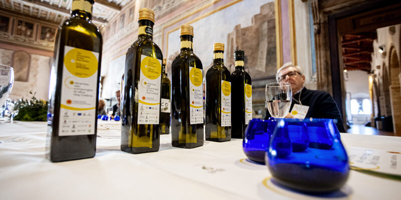 Olio Extravergine di Oliva Dop