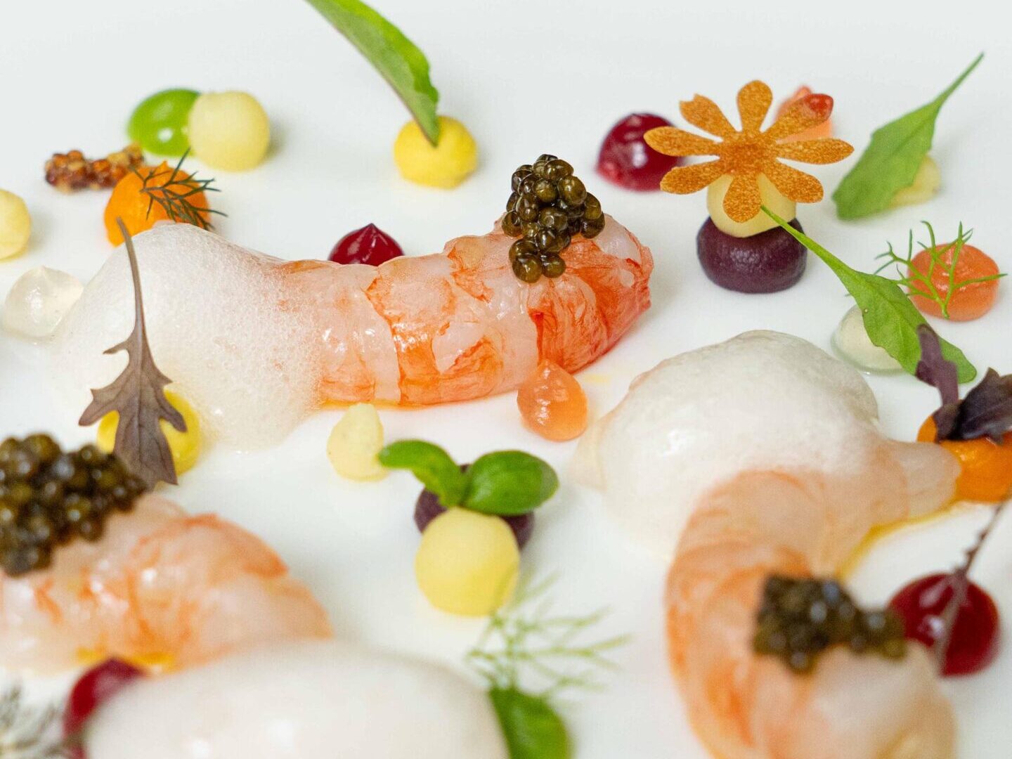 Gambero viola e insalata russa