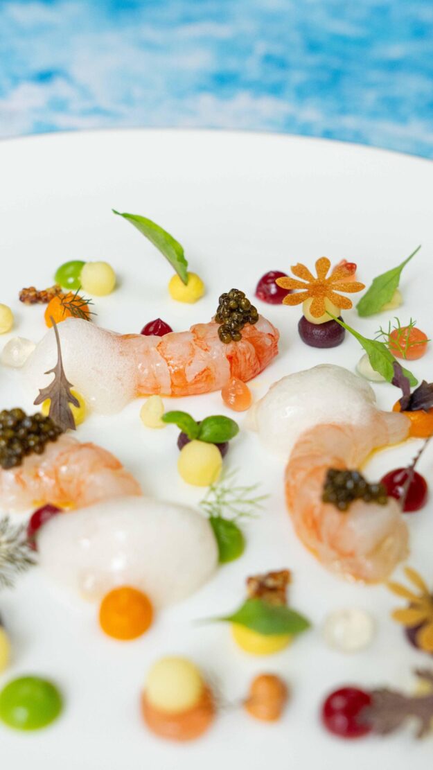 Gambero viola e insalata russa