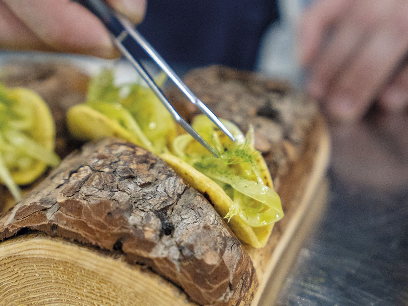 Taco al finocchietto