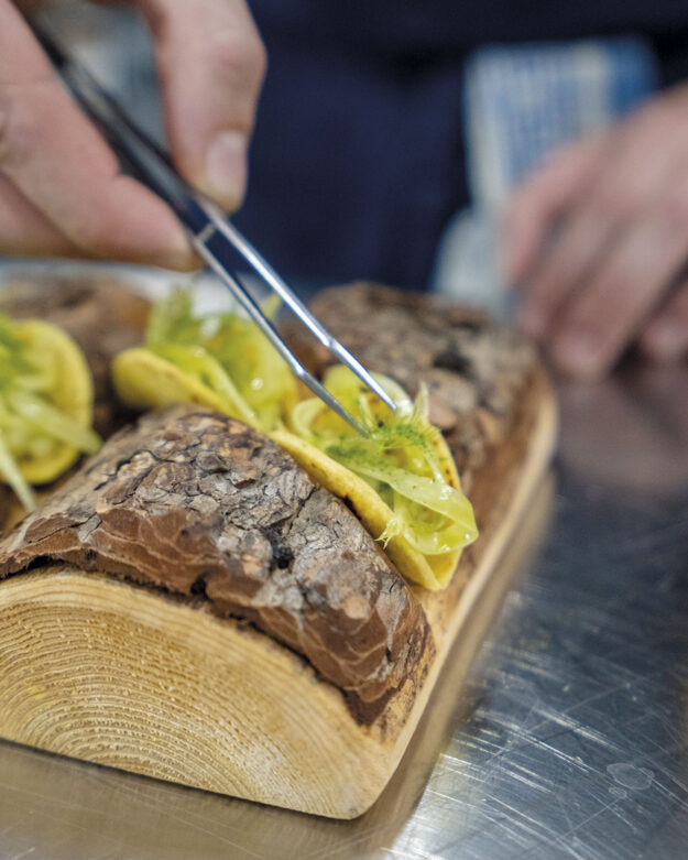 Taco al finocchietto