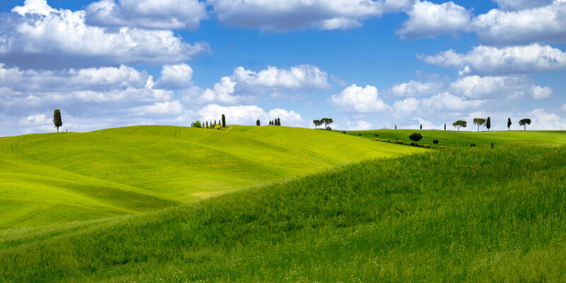 Crescita del bio in Europa