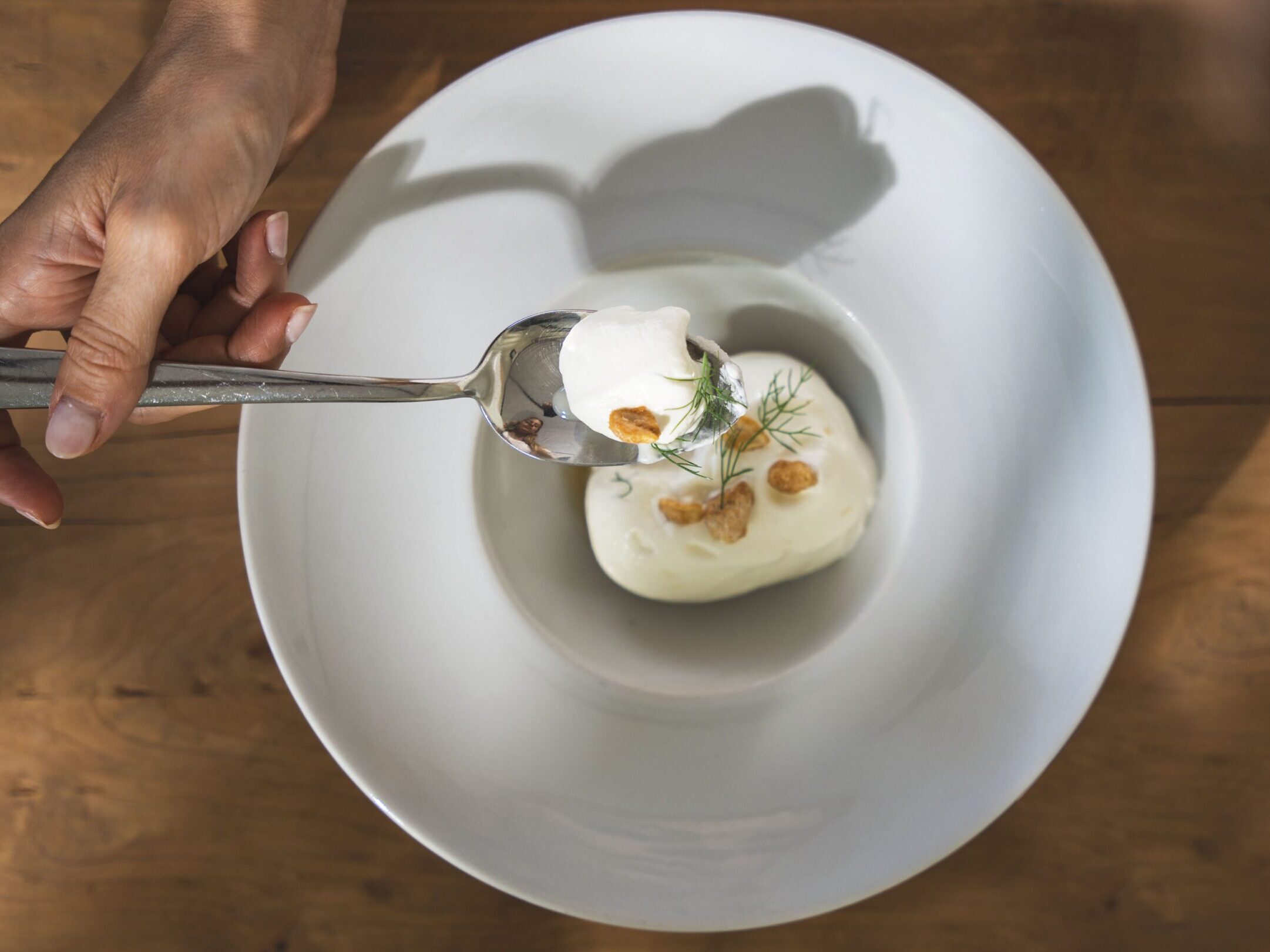 Finocchio crudo e ghiacciato, yogurt e birra