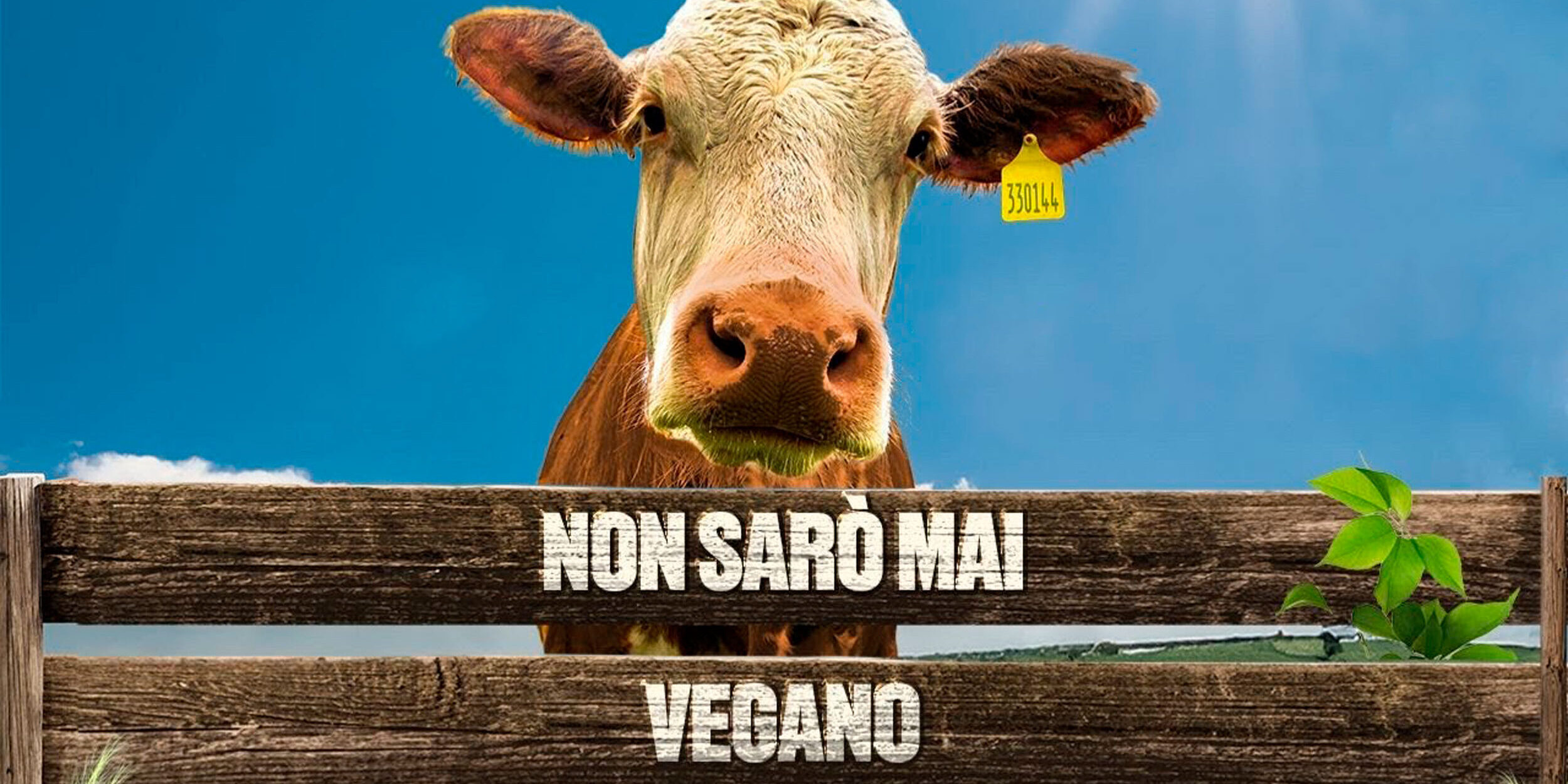 Non sarò mai vegano