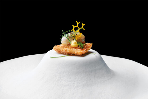 Scrigni© con “Gorgonzola DOP” e cioccolato Ruby in crosta di panko, con tartare di scampo, lime e cioccolato fondente