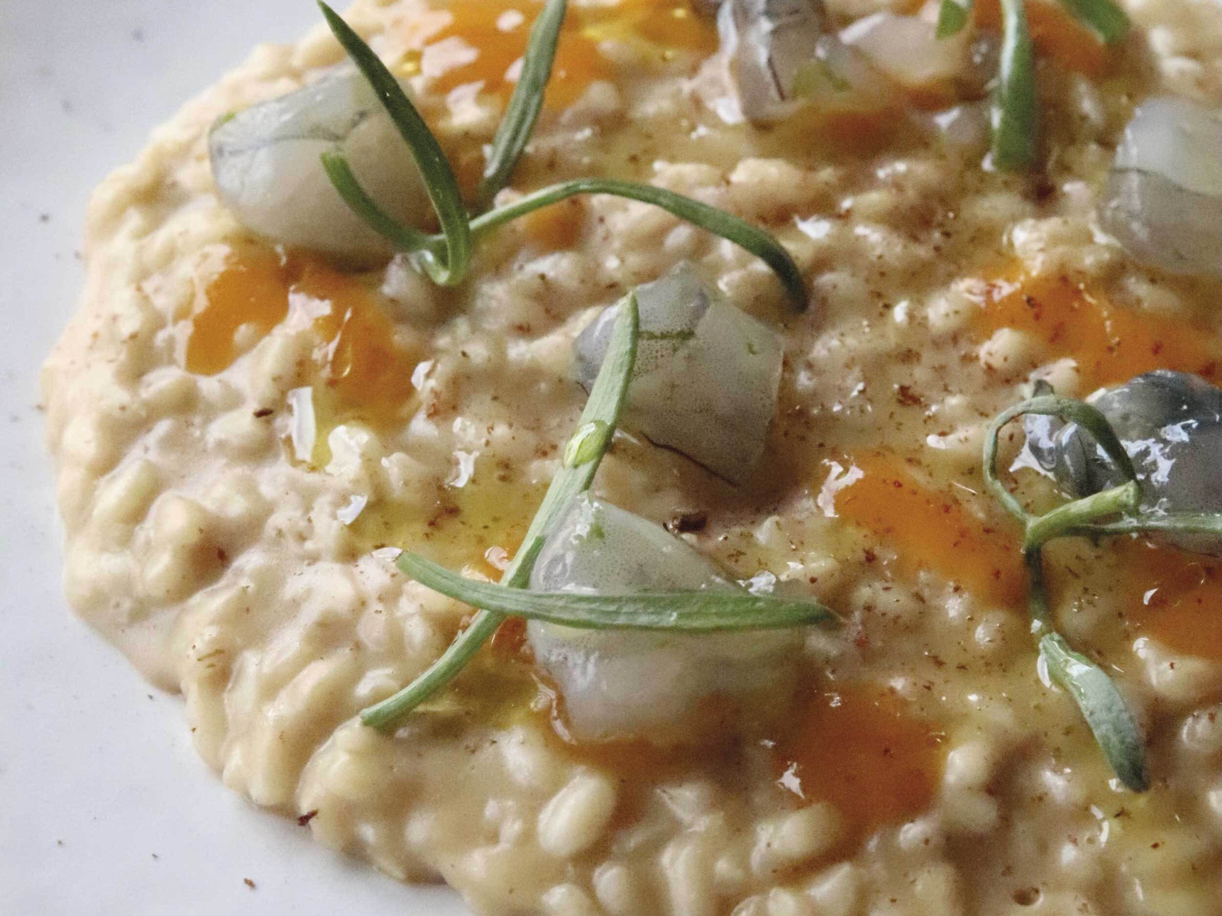Risotto con mazzancolle, nocciola e albicocca