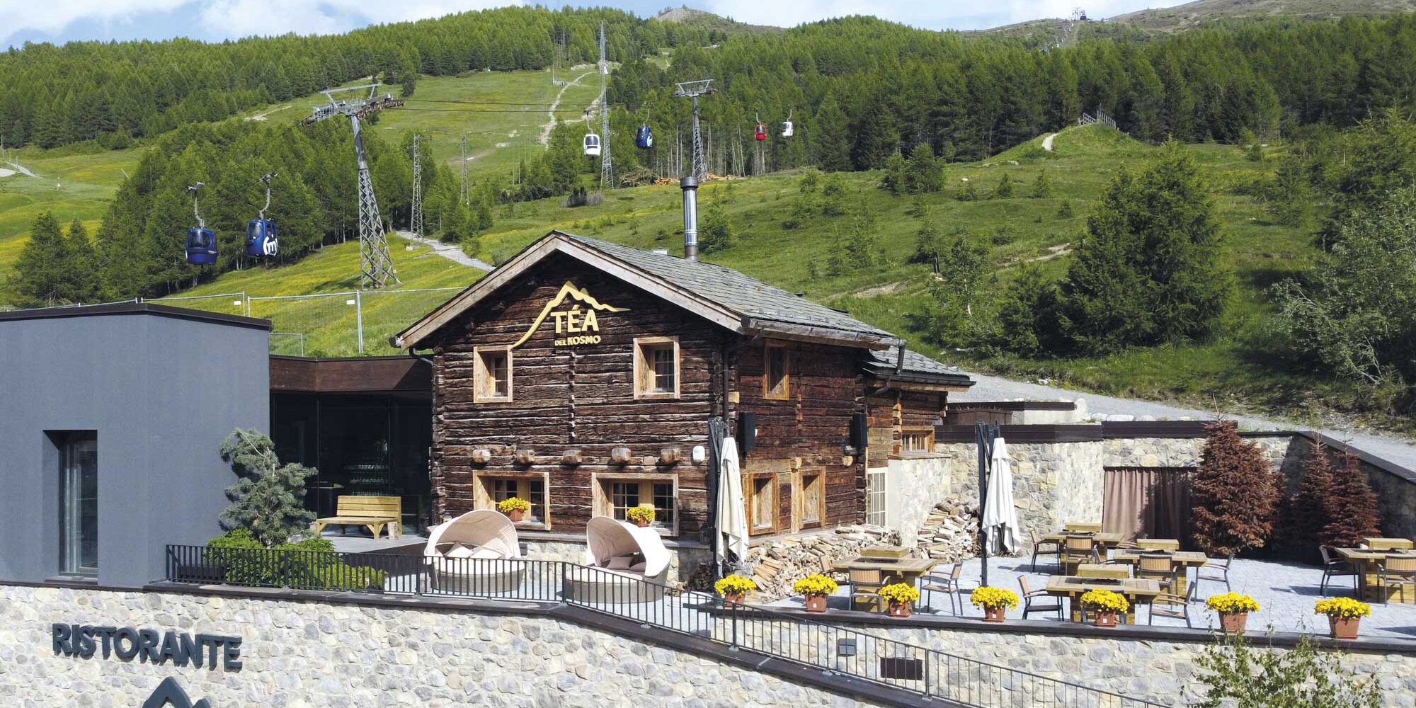 Tea del Kosmo Tea del Kosmo