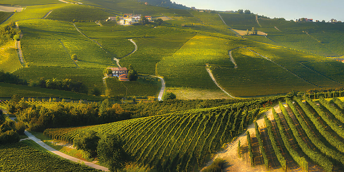Mineralità: prima il vino-legno, poi il vino-frutto, ora il “vino-sasso”