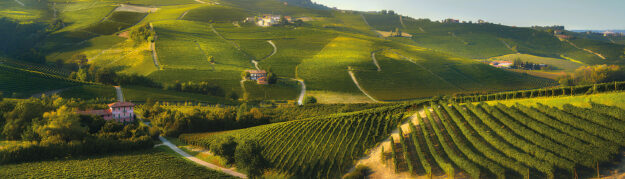 Mineralità: prima il vino-legno, poi il vino-frutto, ora il “vino-sasso”