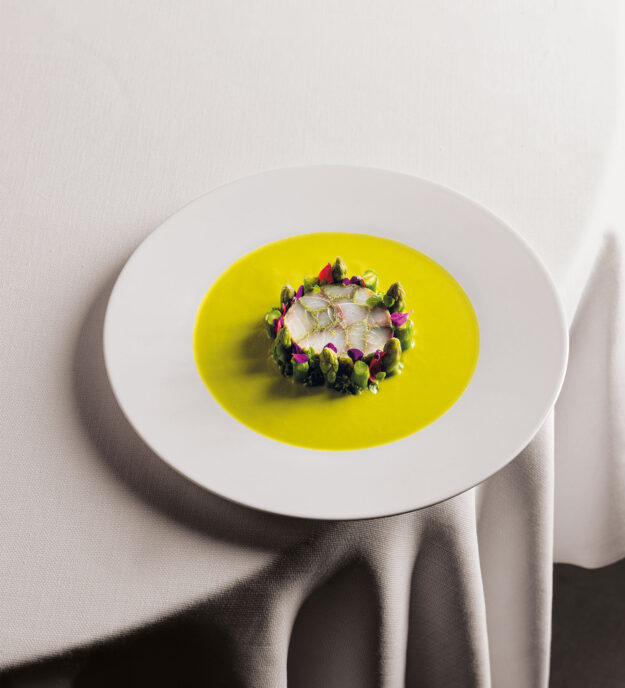 Mosaico di ombrina con declinazioni di asparagi