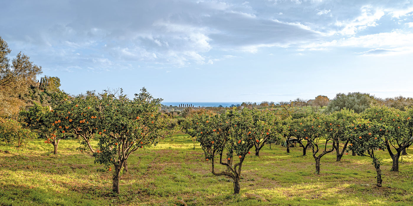 Ad Agrigento Diodoros