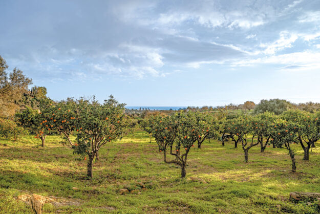 Ad Agrigento Diodoros