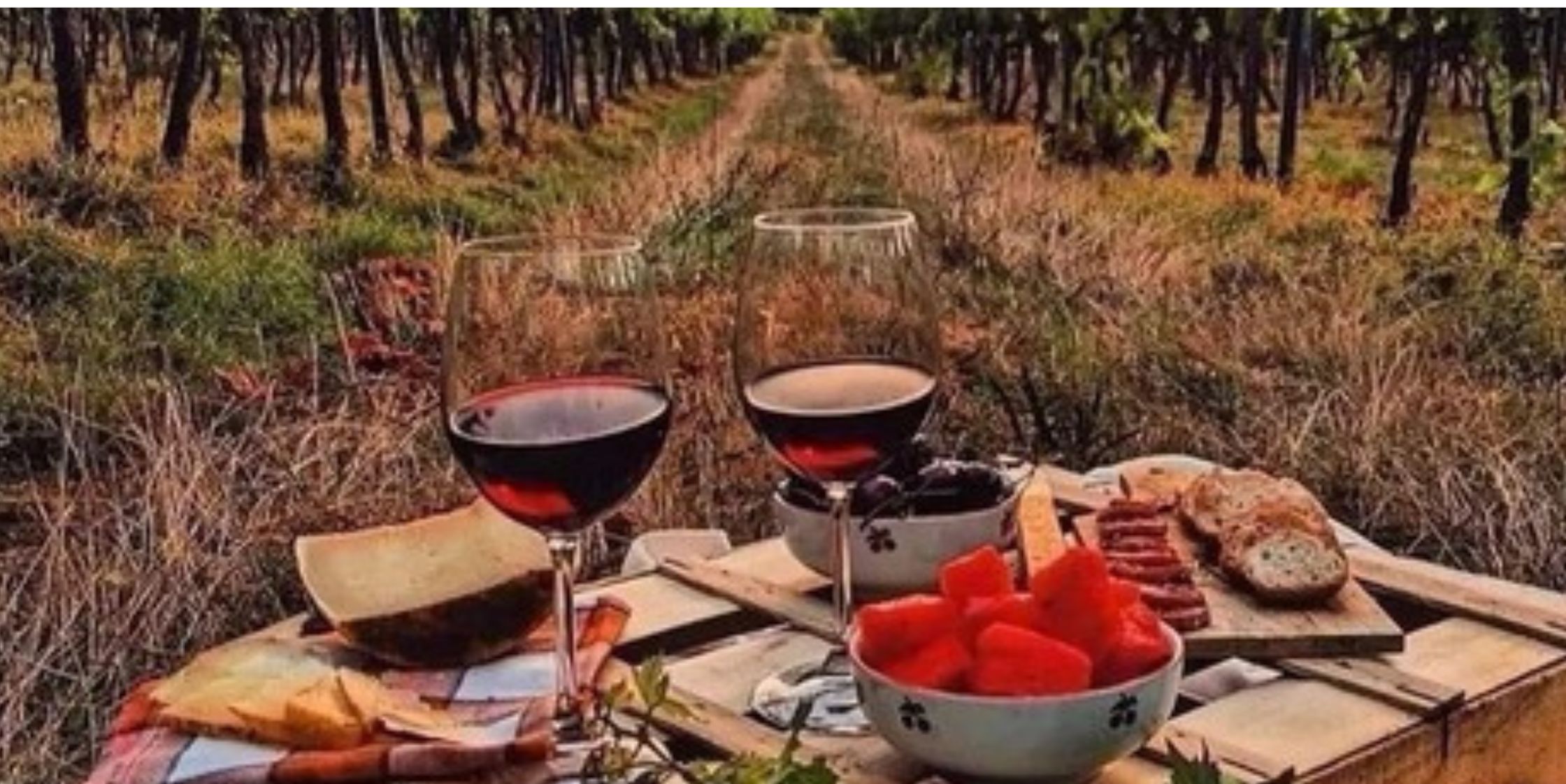 Enoturismo in Italia