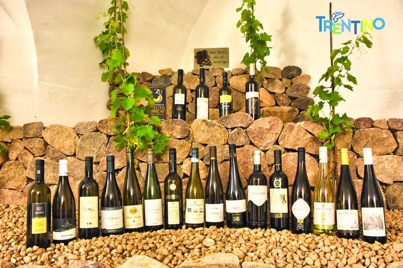 Müller Thurgau
