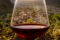 Eroico Rosso Sforzato Wine Festival