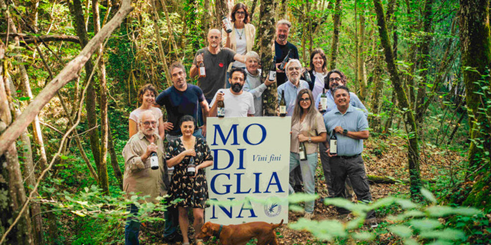 vini di Modigliana